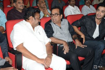 Vinavayya Ramayya Movie Audio Launch